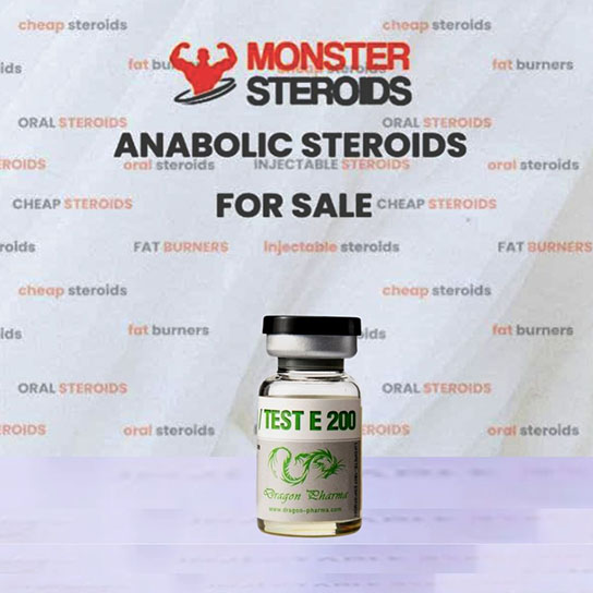 EQ 200 / Teste E 200