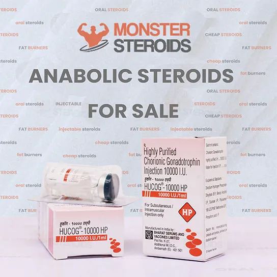 HCG 10.000 UI